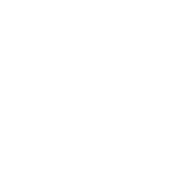 Scribble_Schriftserver_neg pressmind media - Scribble Schriftenserver
