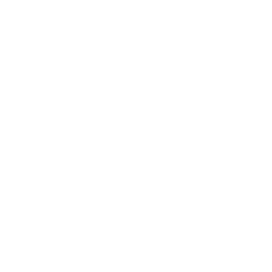 pPaper pPaper